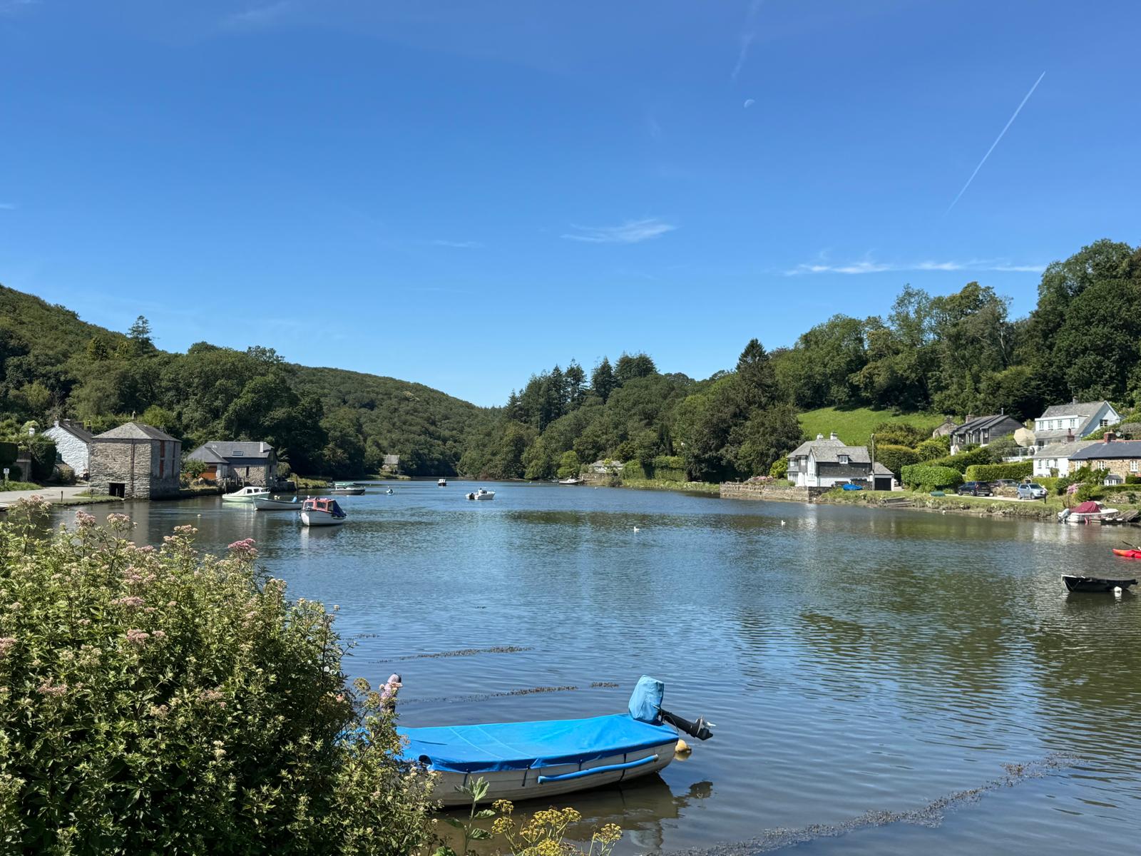 Lerryn river